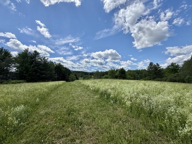 0 Battle Row Road Hyde Park, VT 05655 - Photo 3 of 19