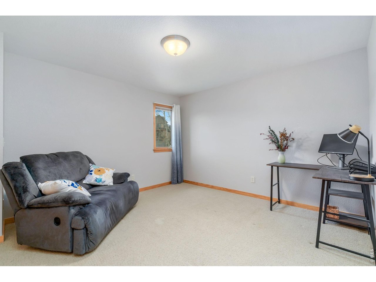 1761 Wildfire Road Estes Park, CO 80517 - Photo 23 of 45 a living room with furniture and a potted plant