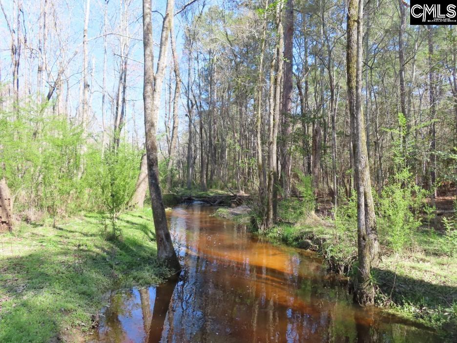 1672 Dixired Road Leesville, SC 29070 - Photo 27 of 67