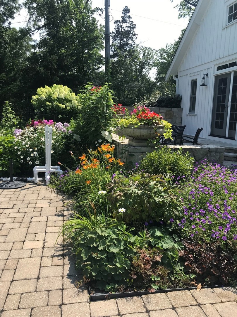 240 Deerfield Road Deerfield, IL 60015 - Photo 33 of 37 a front view of a house with a yard and potted plants