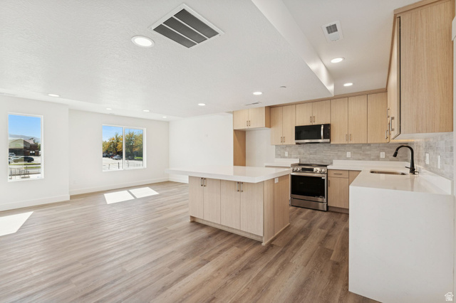 252 North Main Street Bountiful, UT 84010 - Photo 33 of 34 Kitchen featuring light wood finish cabinetry, stainless steel appliances, a kitchen island, open floor plan, and light wood-style flooring