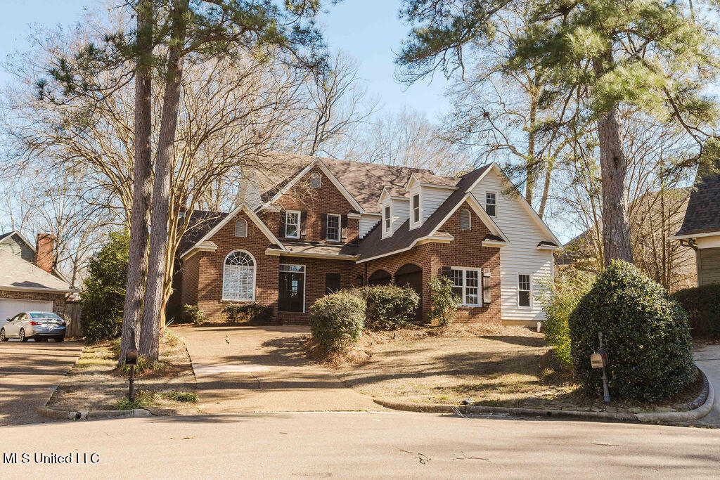 watsonphotography260206145349