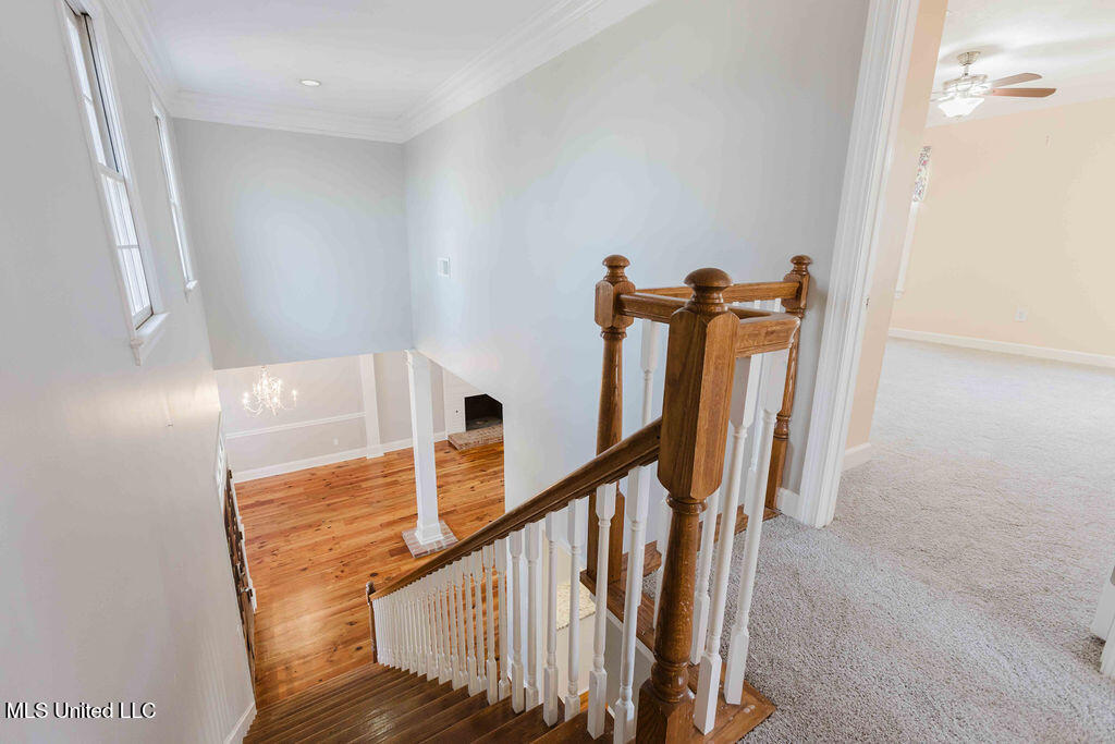 108 Hawthorne Vale Ridgeland, MS 39157 - Photo 38 of 45 watsonphotography260206144454