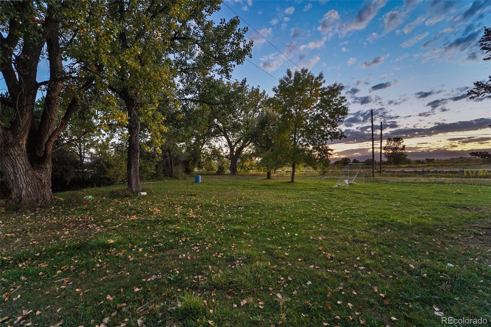 5142 Buffalo Road Erie, CO 80516 - Photo 4 of 33 Gallery Image 4