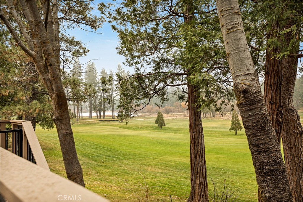 435 Riviera Drive Lake Arrowhead, CA 92352 - Photo 1 of 39 a view of an outdoor space and trees