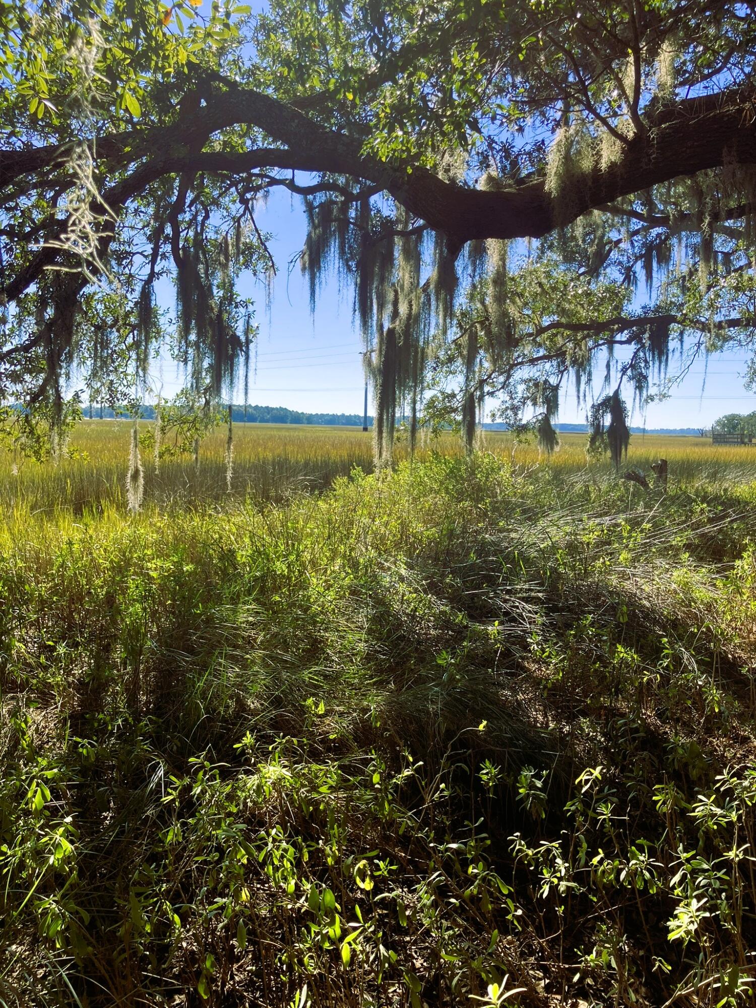 481 Paige Point Road Seabrook, SC 29940 - Photo 11 of 18 IMG_6856