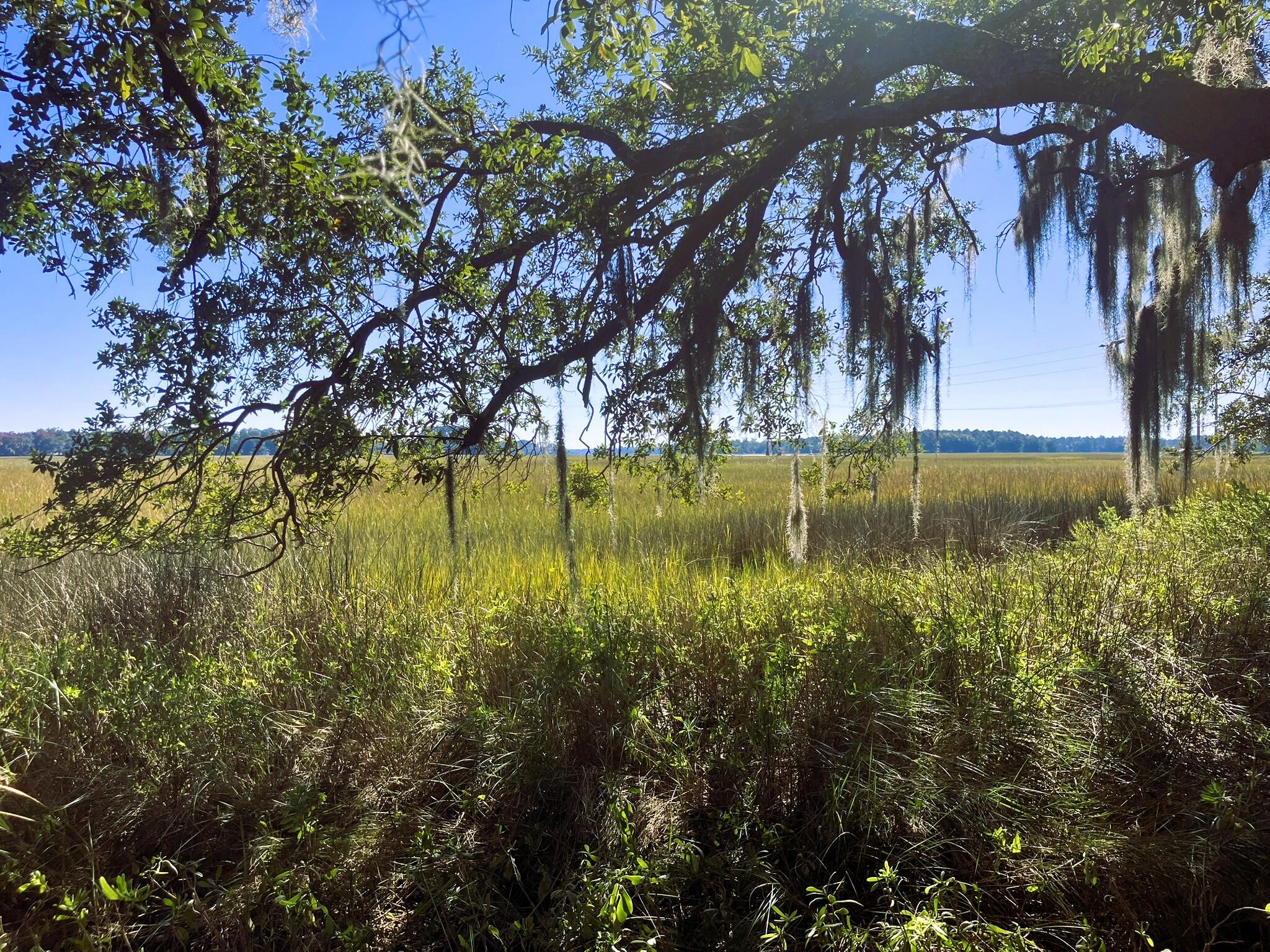 481 Paige Point Road Seabrook, SC 29940 - Photo 12 of 18 IMG_6858