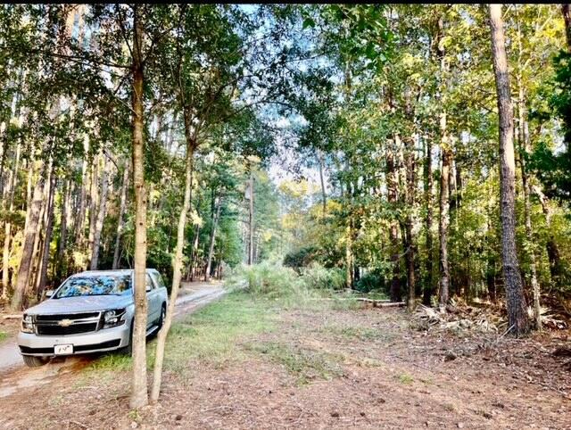 481 Paige Point Road Seabrook, SC 29940 - Photo 13 of 18 IMG_3339