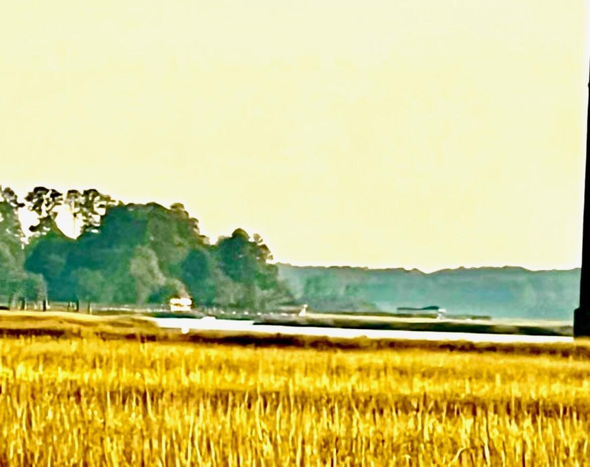 481 Paige Point Road Seabrook, SC 29940 - Photo 2 of 18 IMG_3342