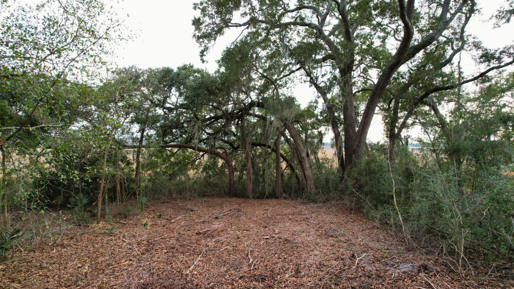 481 Paige Point Road Seabrook, SC 29940 - Photo 4 of 19 PPB_LotView