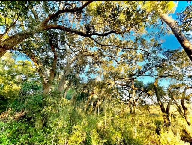 481 Paige Point Road Seabrook, SC 29940 - Photo 4 of 18 IMG_3338