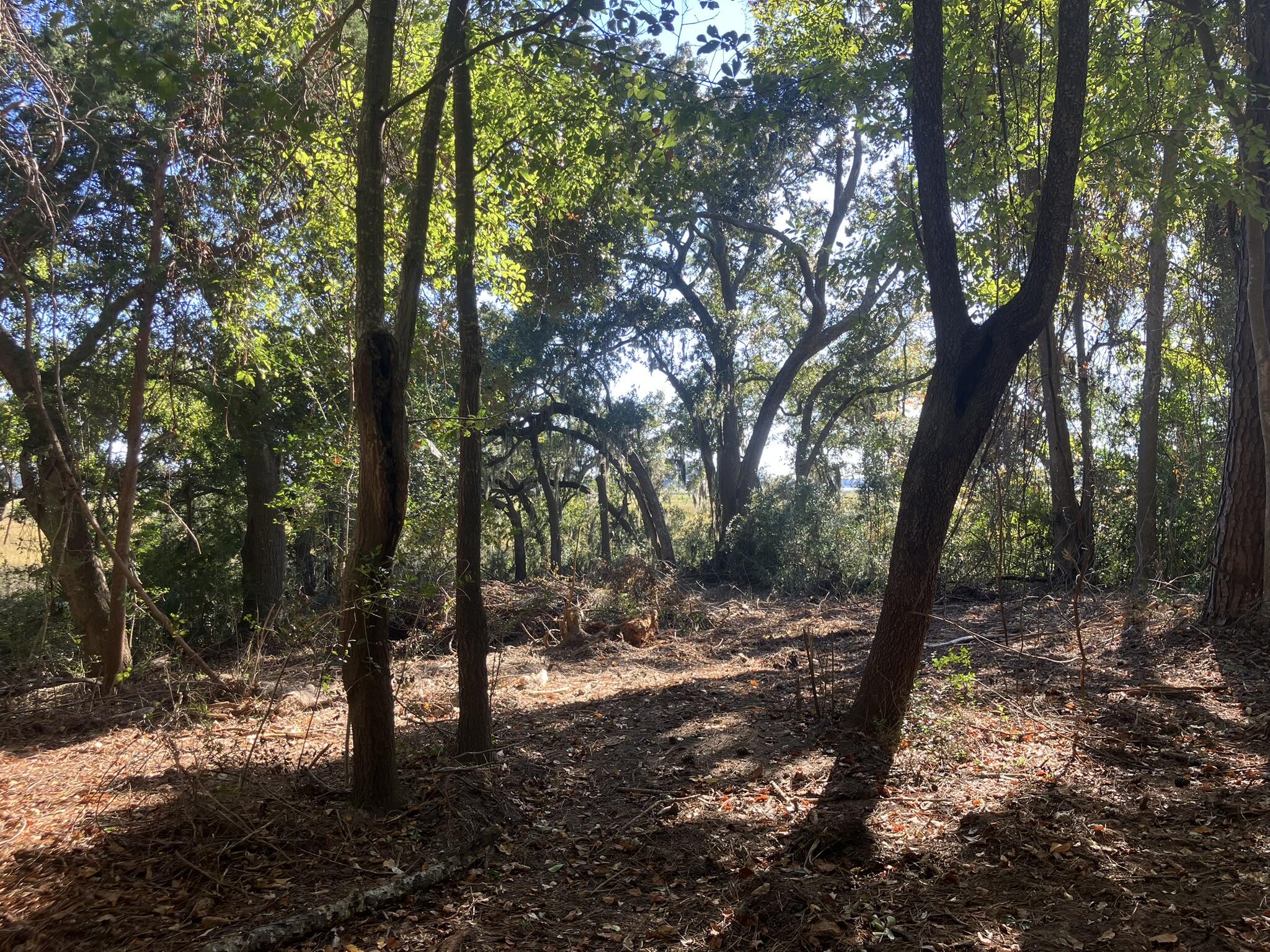 481 Paige Point Road Seabrook, SC 29940 - Photo 5 of 18 IMG_6873