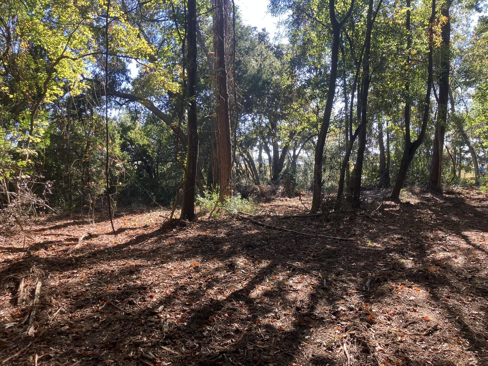 481 Paige Point Road Seabrook, SC 29940 - Photo 6 of 18 IMG_6876