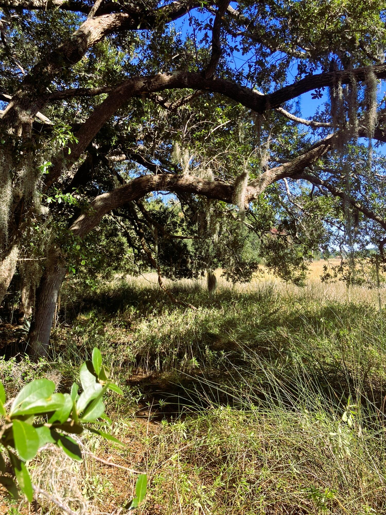 481 Paige Point Road Seabrook, SC 29940 - Photo 7 of 18 IMG_6863