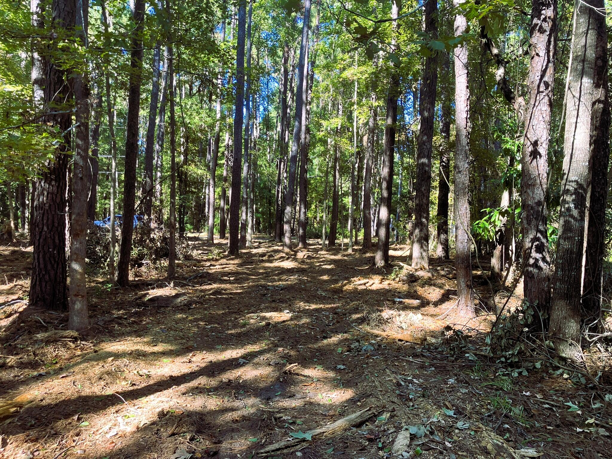 481 Paige Point Road Seabrook, SC 29940 - Photo 10 of 18 IMG_6853