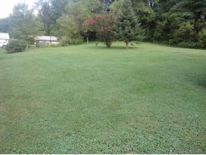 124 Ug Buckles Road Elizabethton, TN 37643 - Photo 3 of 5 beautiful level 71 acre