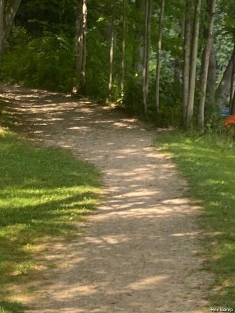 V/l Murray Hill Road Hartland, MI 48353 - Photo 12 of 18