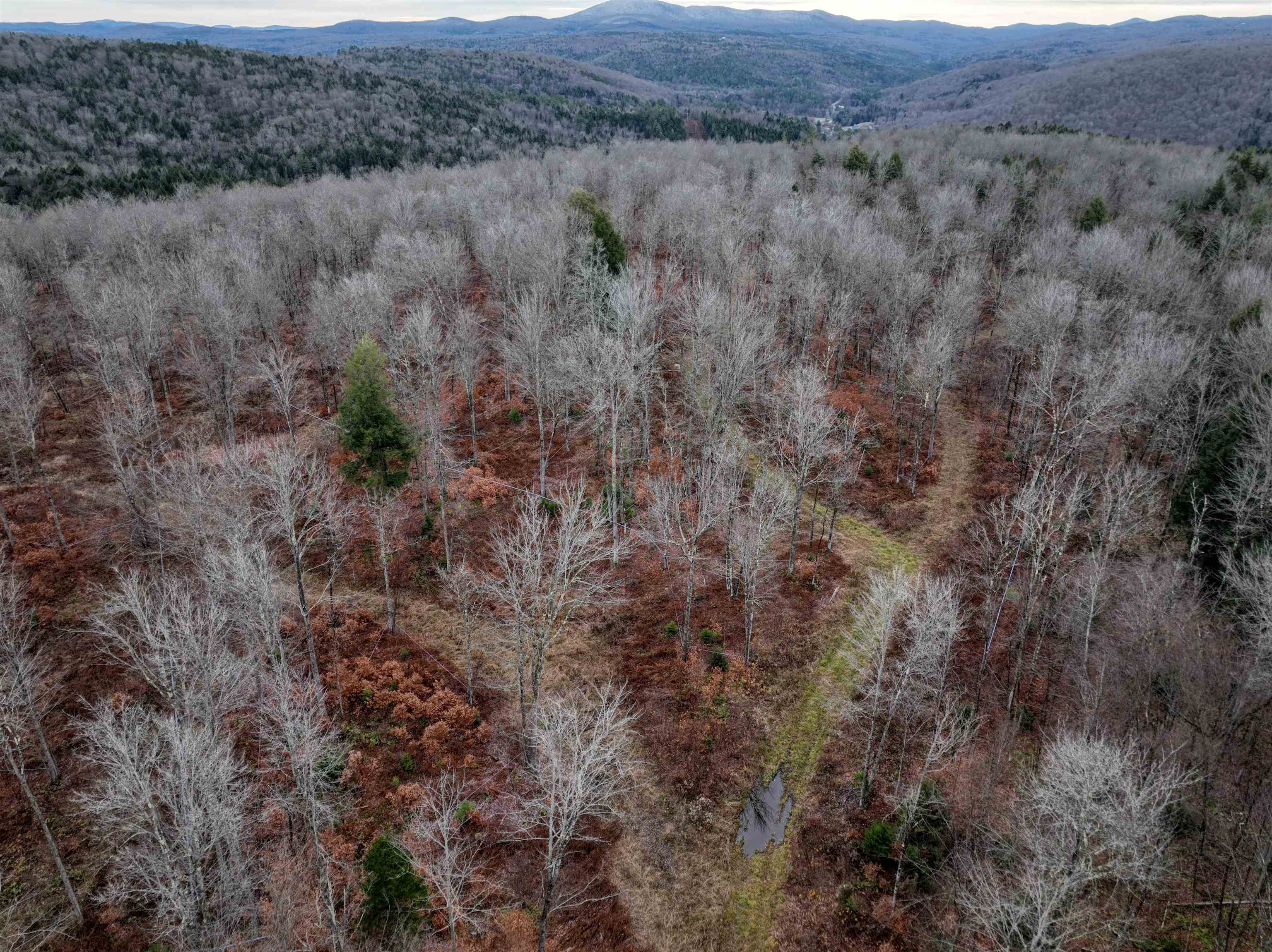 1036 Town Hill Road Wolcott, VT 05680 - Photo 31 of 59
