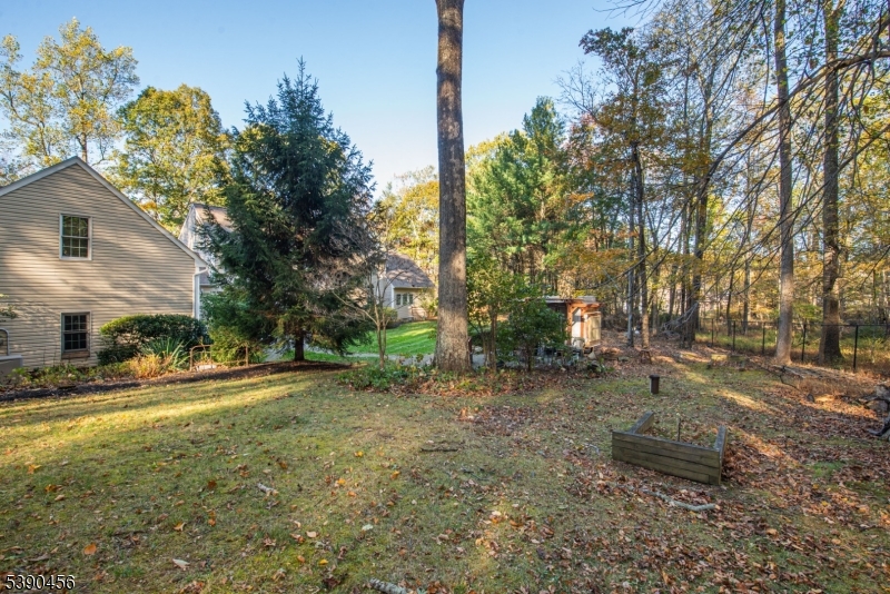190 Andover Mohawk Road Andover, NJ 07821 - Photo 10 of 46 a view of a yard with plants and trees