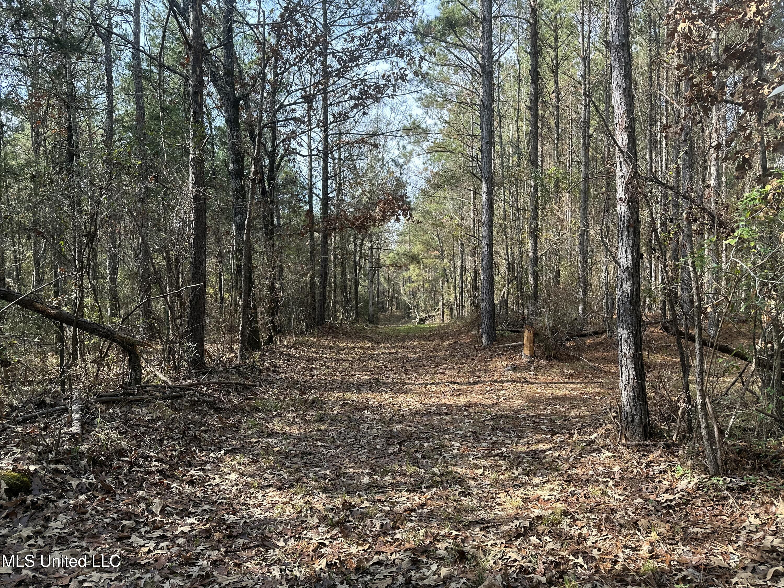 4 Whiddon Road Canton, MS 39046 - Photo 9 of 45 IMG_3871