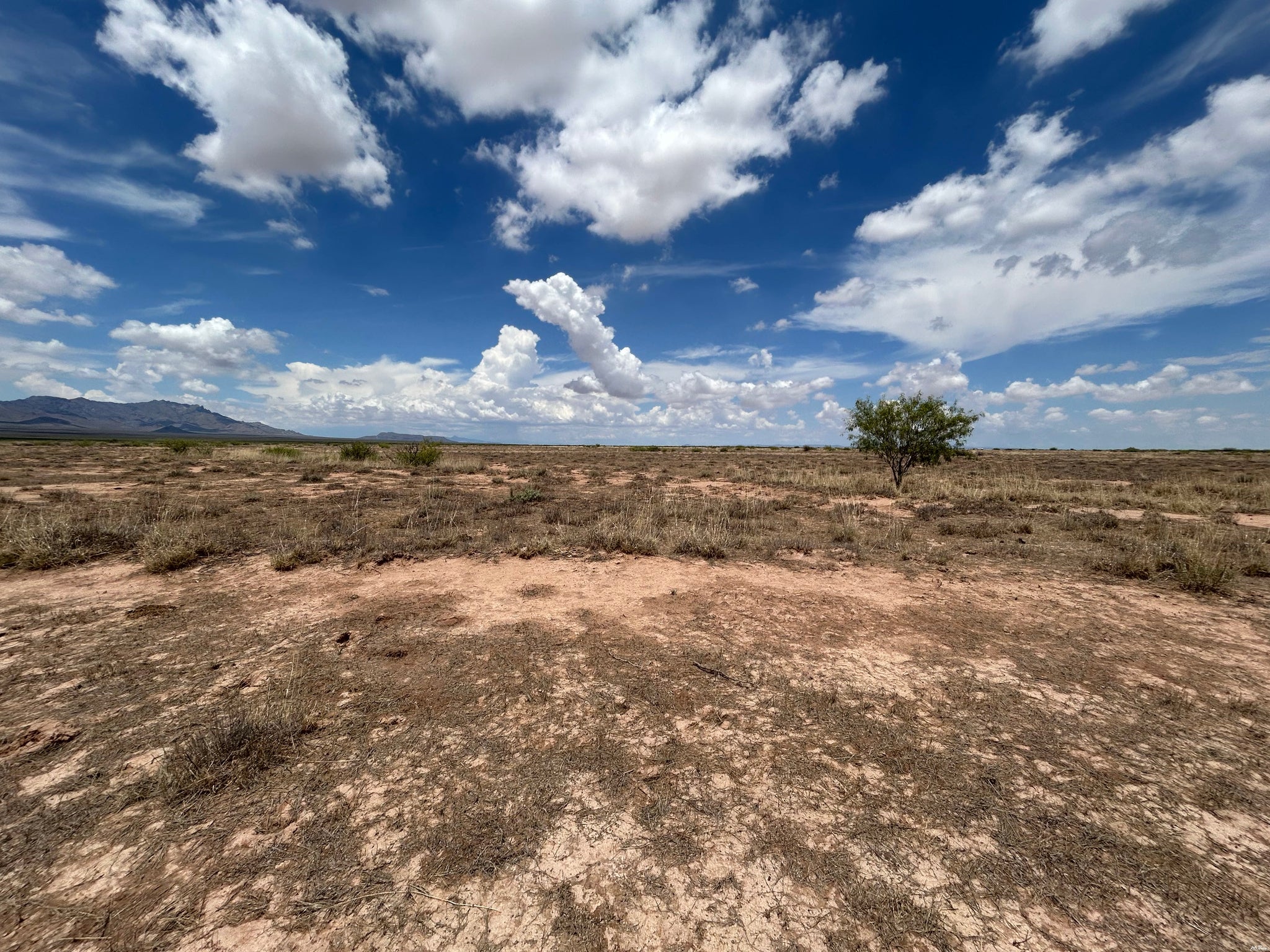 0 Cebada Road Deming, NM 88030 - Photo 12 of 15 Gallery Image 12