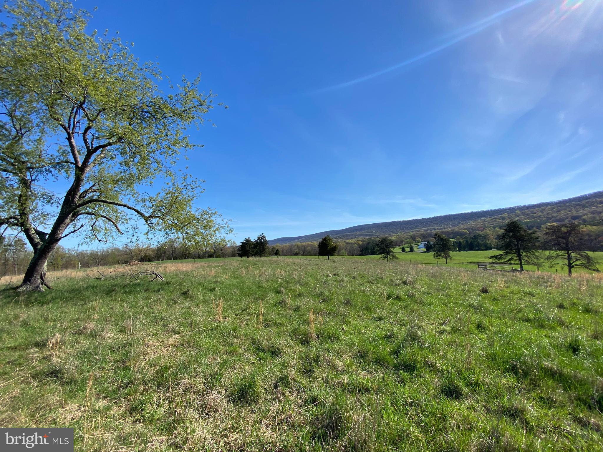 Pine Grove Road Berkeley Springs, WV 25411 - Photo 1 of 6 Facing northwest