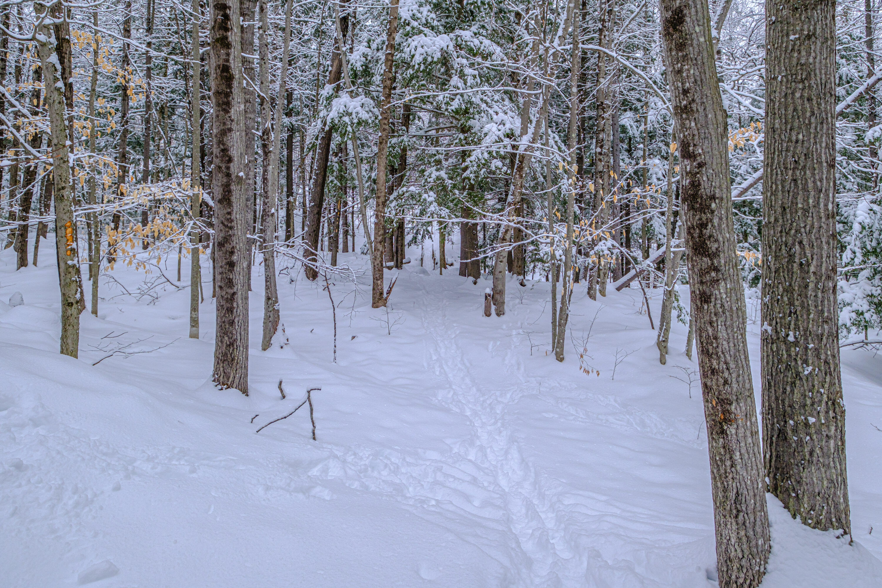 45 Viking Village Road Newry, ME 04261 - Photo 51 of 65 2026023gp-60056