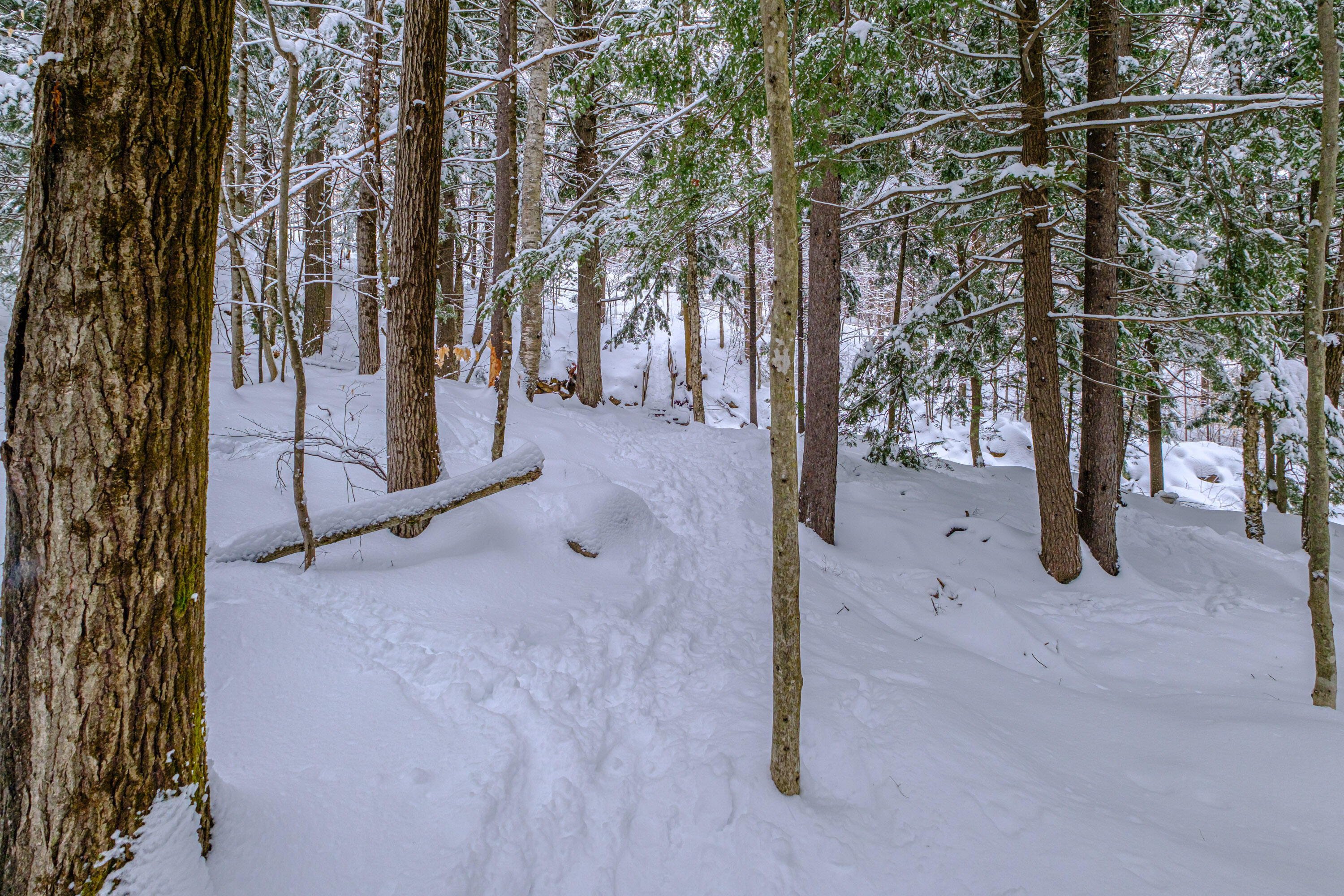 45 Viking Village Road Newry, ME 04261 - Photo 52 of 65 2026023gp-60057