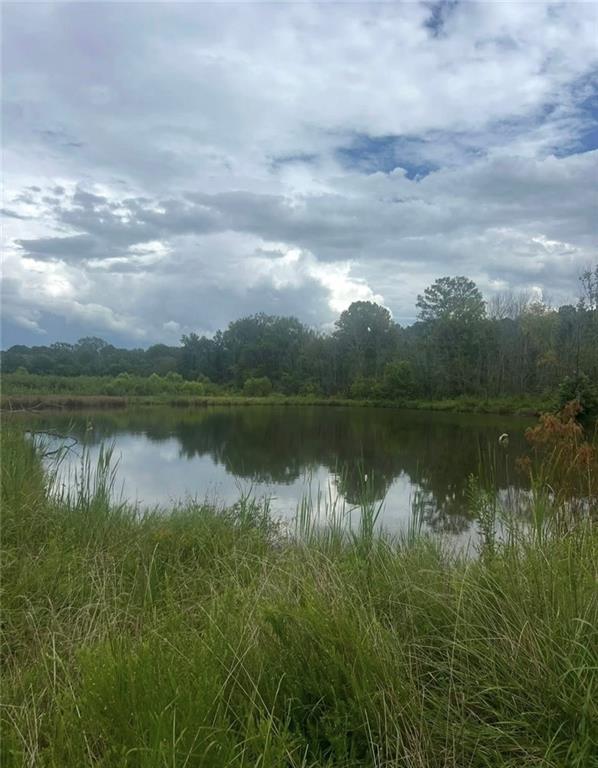 729 Taylor Town Road Northeast Ranger, GA 30734 - Photo 4 of 5 a view of a lake from a yard
