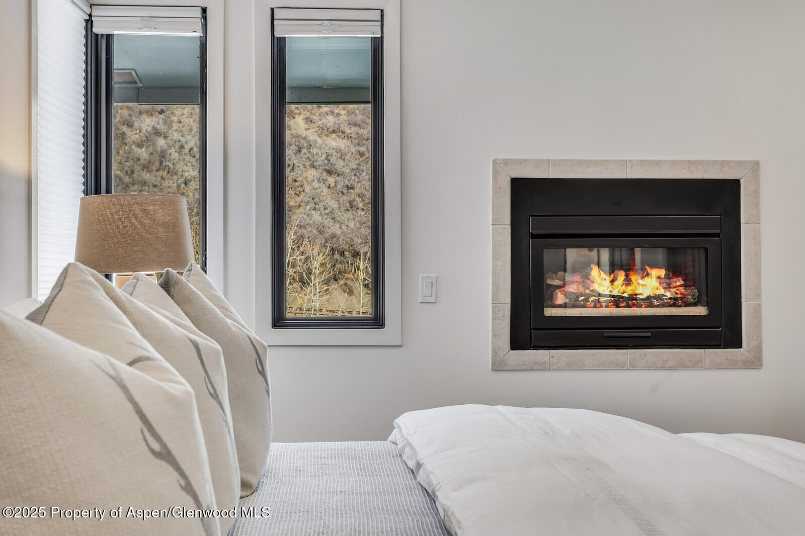 135 Carriage Way, Unit 5 Snowmass Village, CO 81615 - Photo 31 of 59 a bedroom with a bed and a window