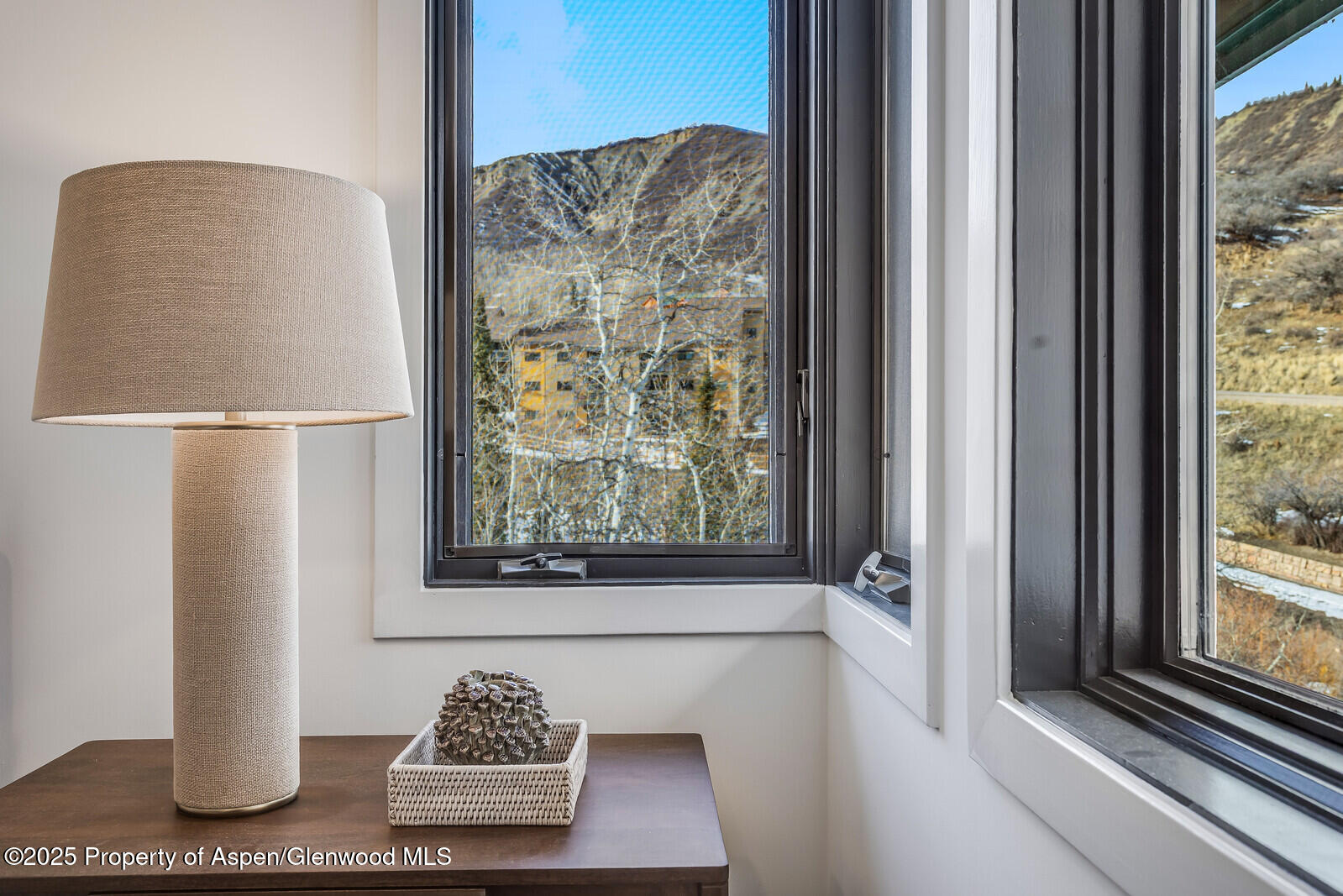 135 Carriage Way, Unit 5 Snowmass Village, CO 81615 - Photo 47 of 59 a view of front door with furniture