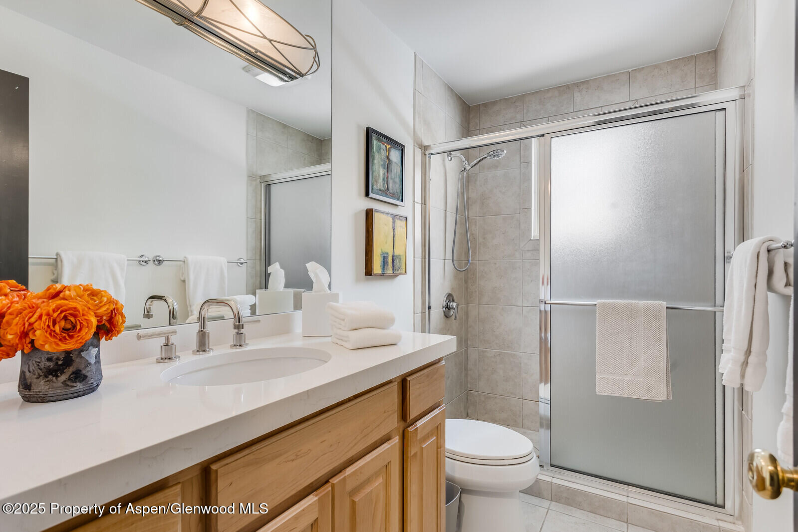 135 Carriage Way, Unit 5 Snowmass Village, CO 81615 - Photo 49 of 59 a bathroom with a sink toilet and shower