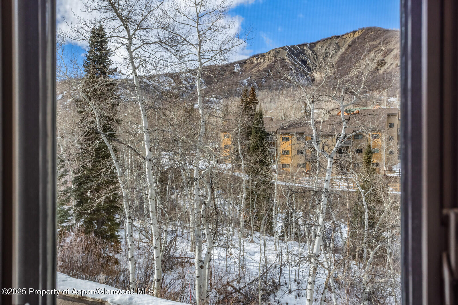 135 Carriage Way, Unit 5 Snowmass Village, CO 81615 - Photo 50 of 59 a view of a yard from a window