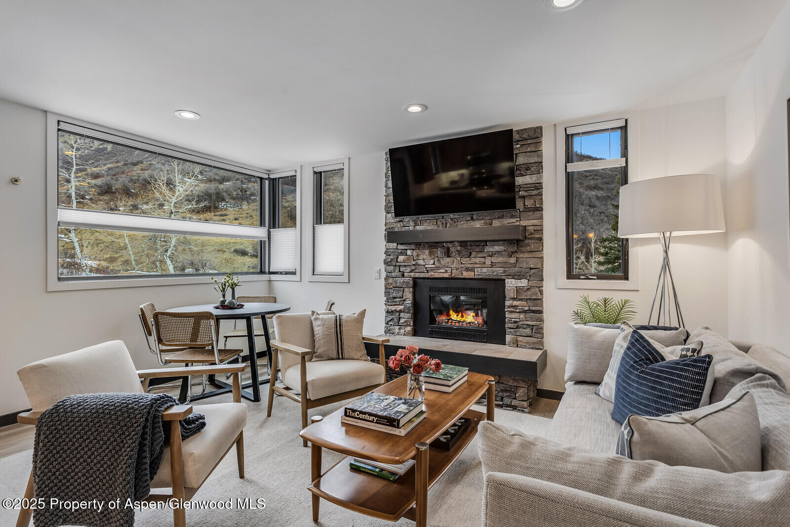 135 Carriage Way, Unit 5 Snowmass Village, CO 81615 - Photo 5 of 59 a living room with furniture fireplace and flat screen tv