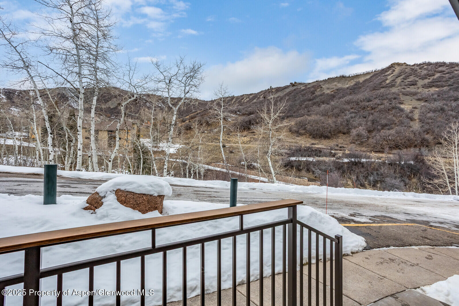 135 Carriage Way, Unit 5 Snowmass Village, CO 81615 - Photo 59 of 59 59_135_Carriage_Way_5060_mls