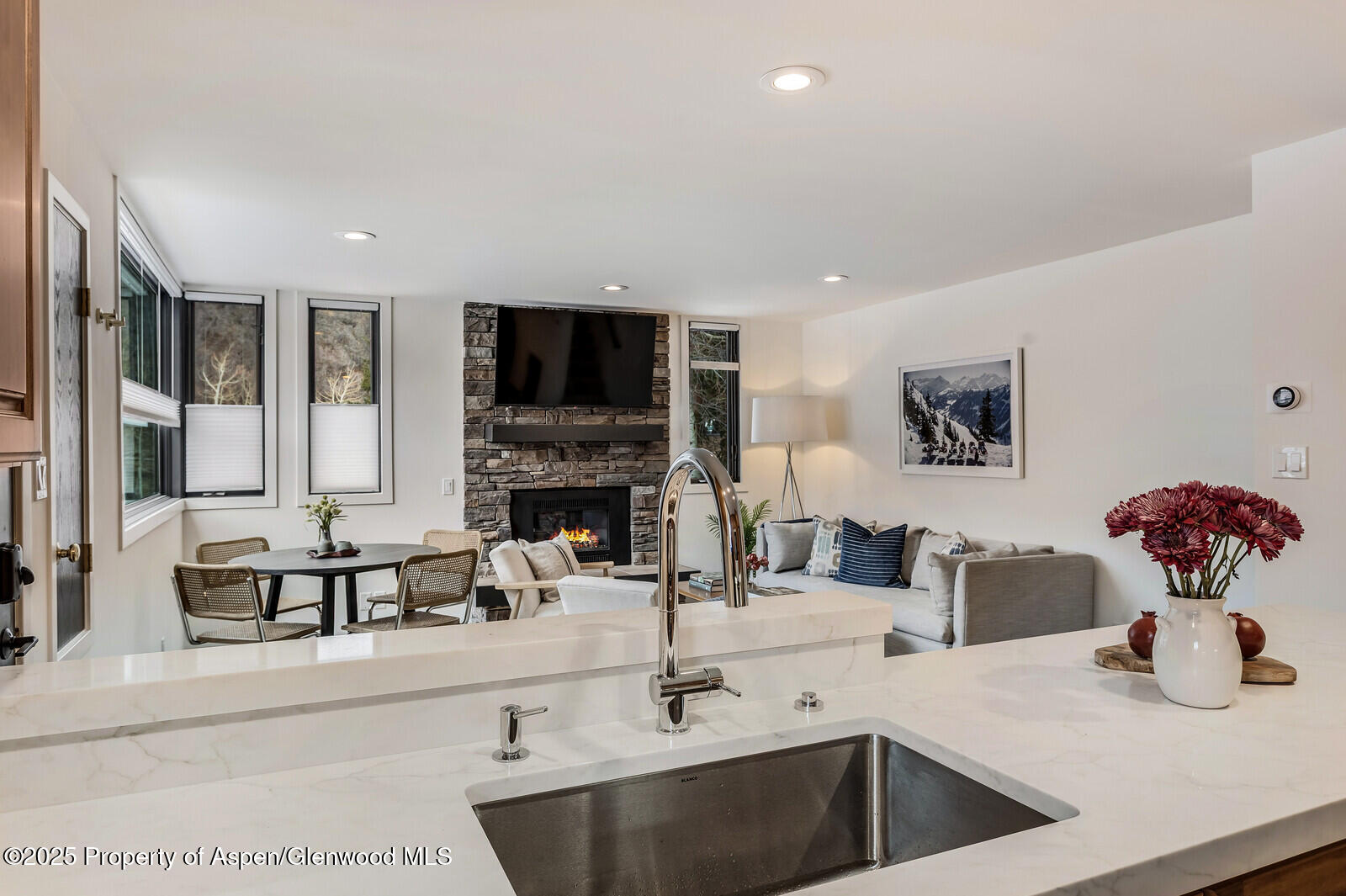 135 Carriage Way, Unit 5 Snowmass Village, CO 81615 - Photo 8 of 59 a kitchen with stainless steel appliances a sink and a refrigerator