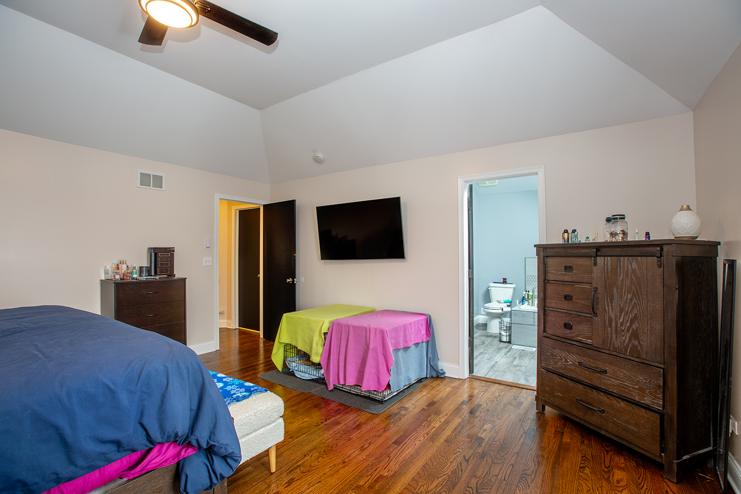 443 Danielle Road Matteson, IL 60443 - Photo 11 of 31 a living room with furniture and a flat screen tv