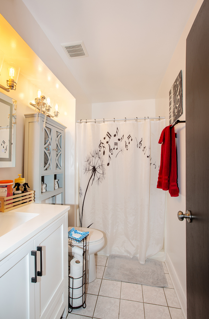 443 Danielle Road Matteson, IL 60443 - Photo 21 of 31 a bathroom with a sink and a mirror