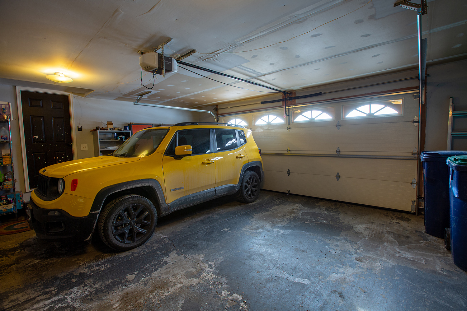 443 Danielle Road Matteson, IL 60443 - Photo 31 of 31 a view of a garage and car parked