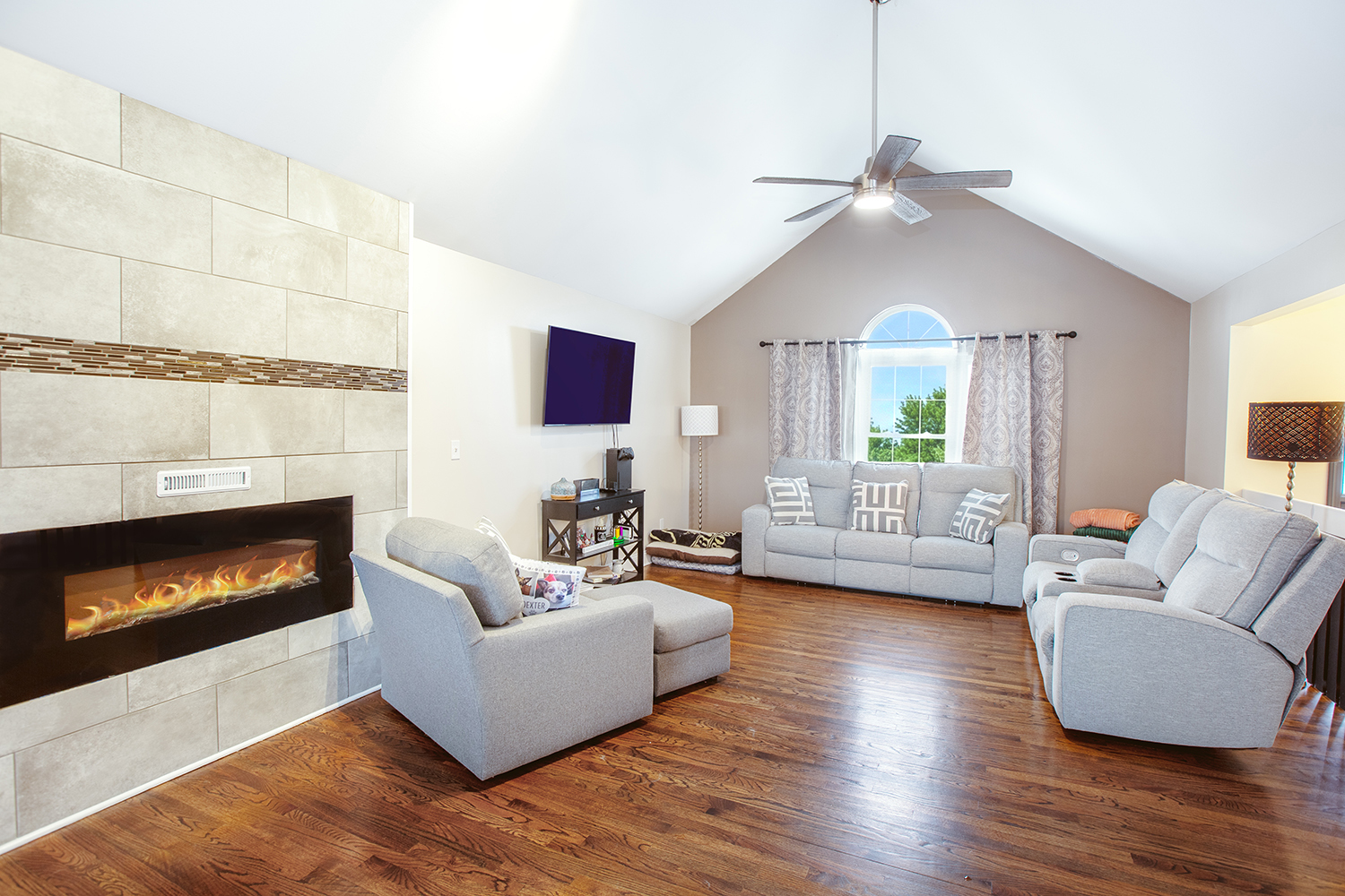 443 Danielle Road Matteson, IL 60443 - Photo 4 of 31 a living room with furniture and a fireplace