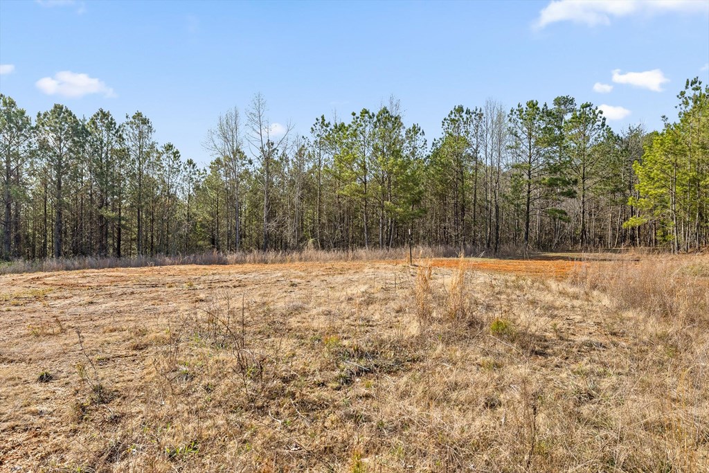 3 Carver Mill Road Jasper, GA 30143 - Photo 37 of 46 Gallery Image 37