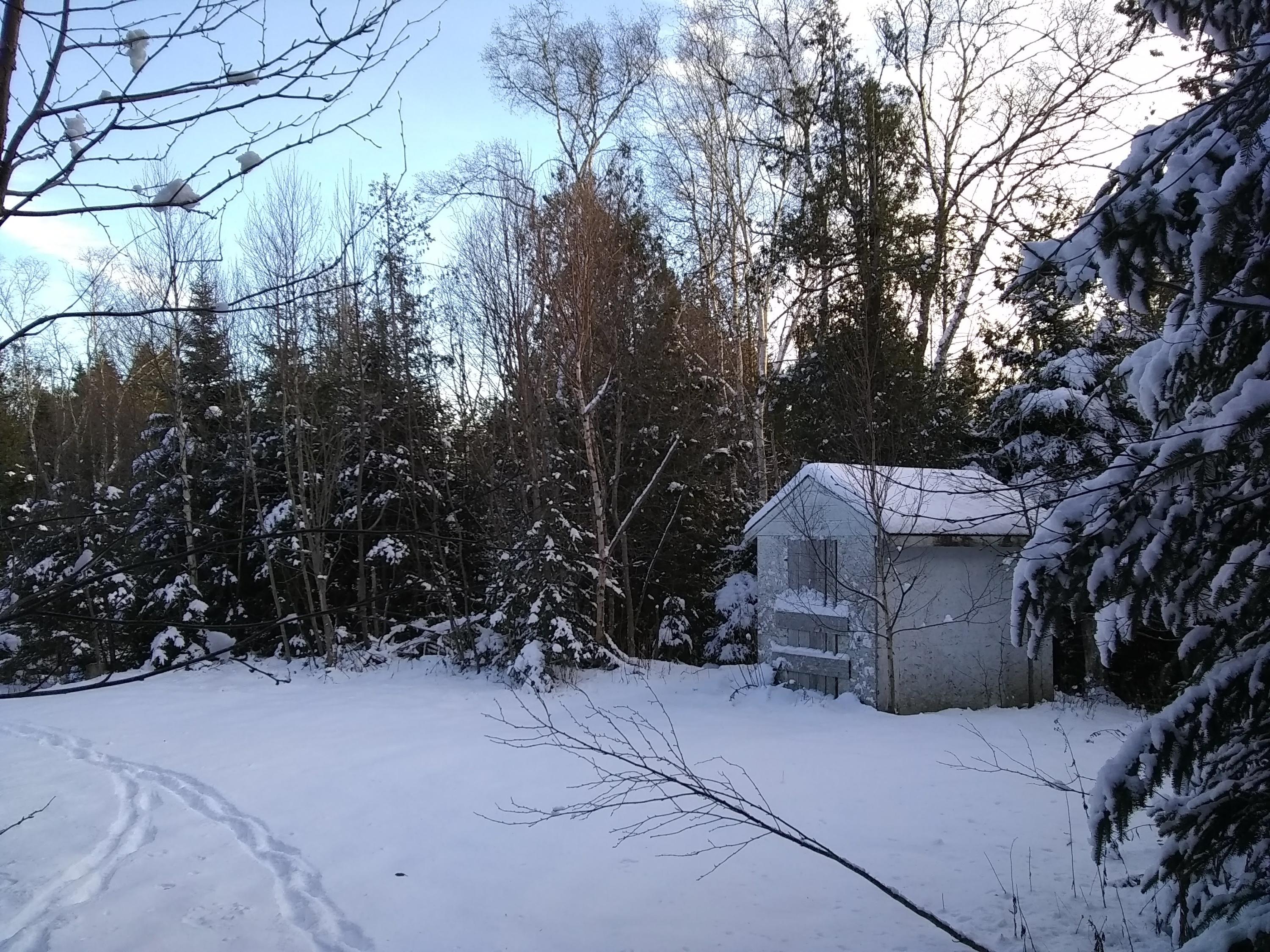 Map 1-lot Map 1-lot Boot Cove Road Lubec, ME 04652 - Photo 3 of 7 Winter