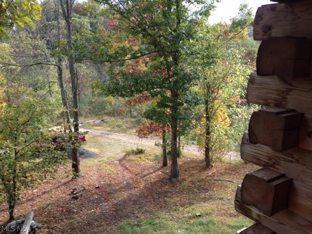 377 Little Run Road Elizabeth, WV 26143 - Photo 13 of 27