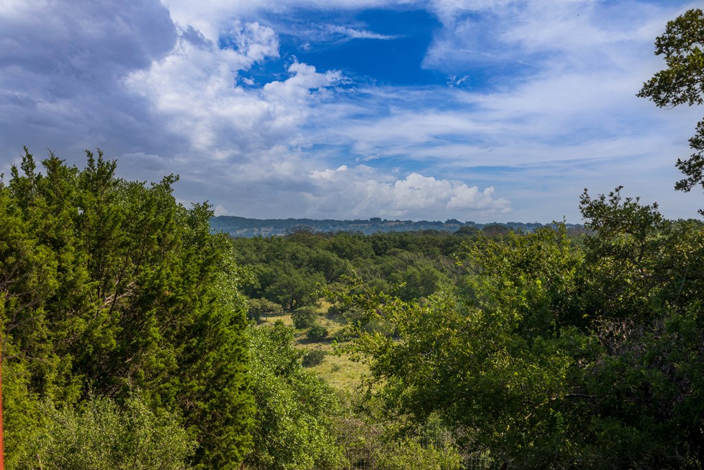 24894 Ranch Road 385 Harper, TX 78631 - Photo 30 of 30 Gallery Image 30