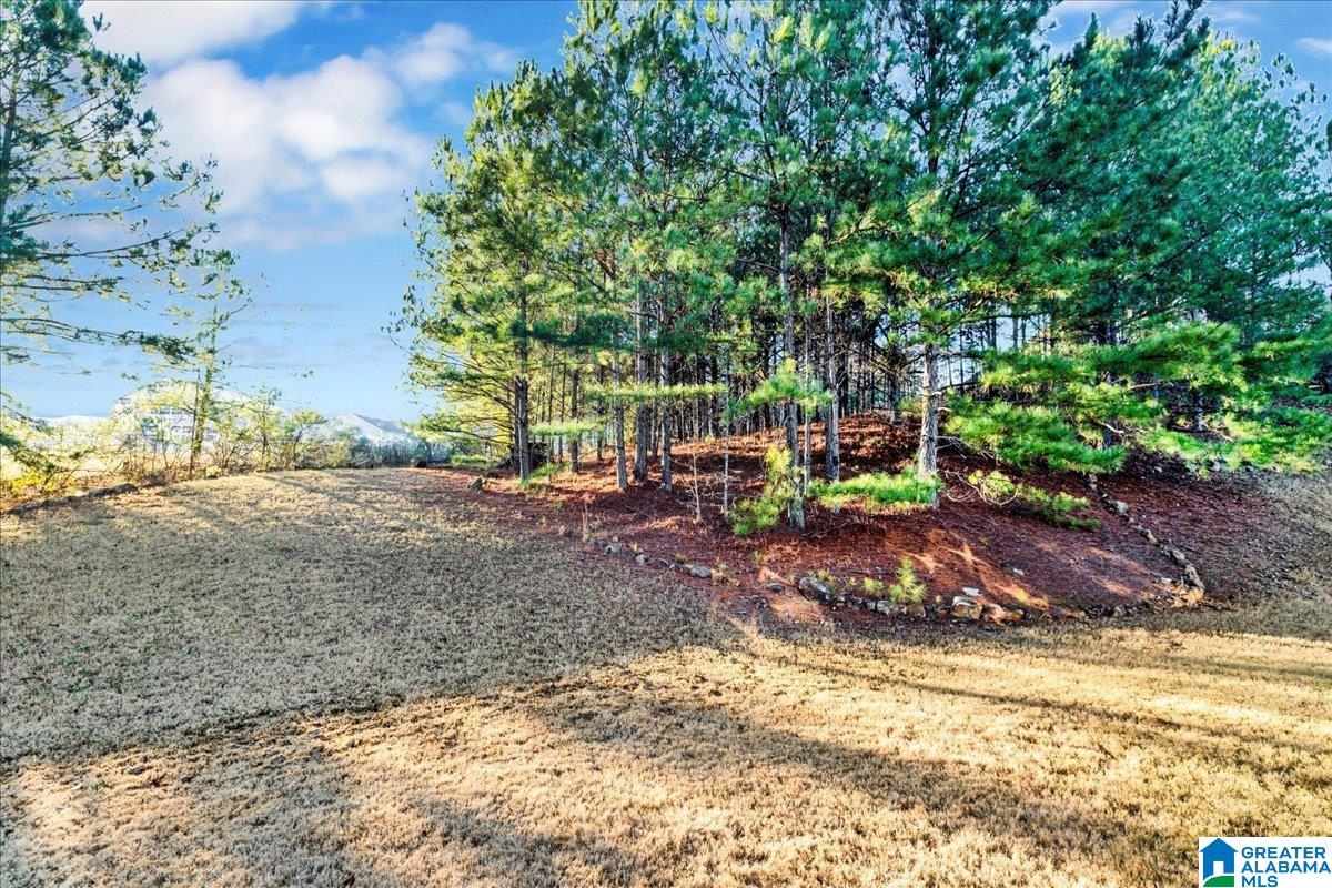 488 Lake Chelsea Way Chelsea, AL 35043 - Photo 32 of 41