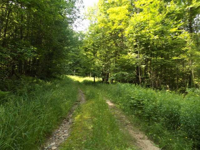 6380 Double Bend Road Argonne, WI 54511 - Photo 19 of 20 Gallery Image 19