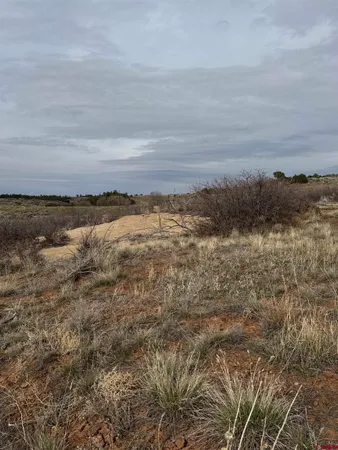 a view of beach and mountain