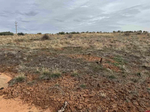 a view of a yard with wooden fence
