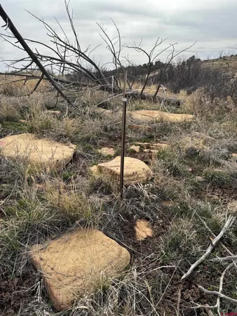 a view of a bathroom