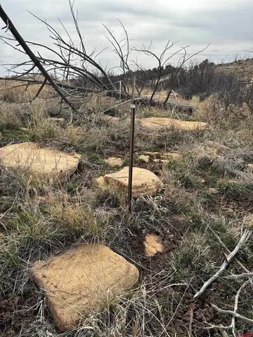 a view of a bathroom